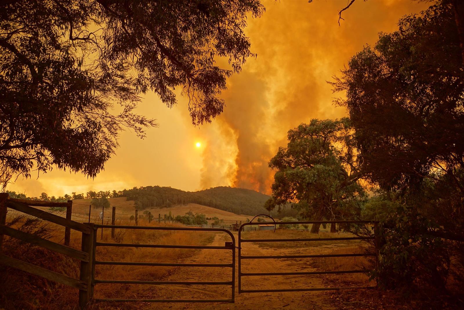 From our 'Top Picks' collection - 2009 Bunyip State Park bushfire